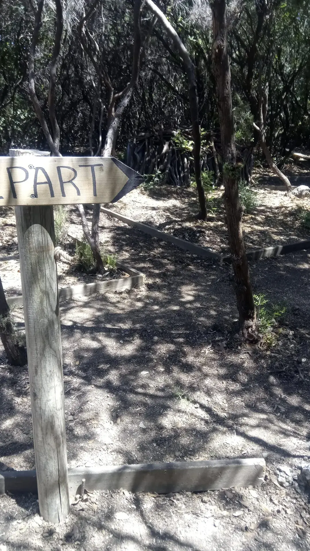 Le parc 9 8 1 1